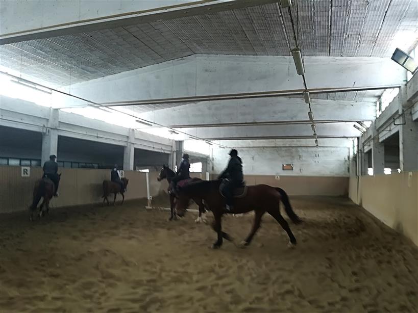 Lezione